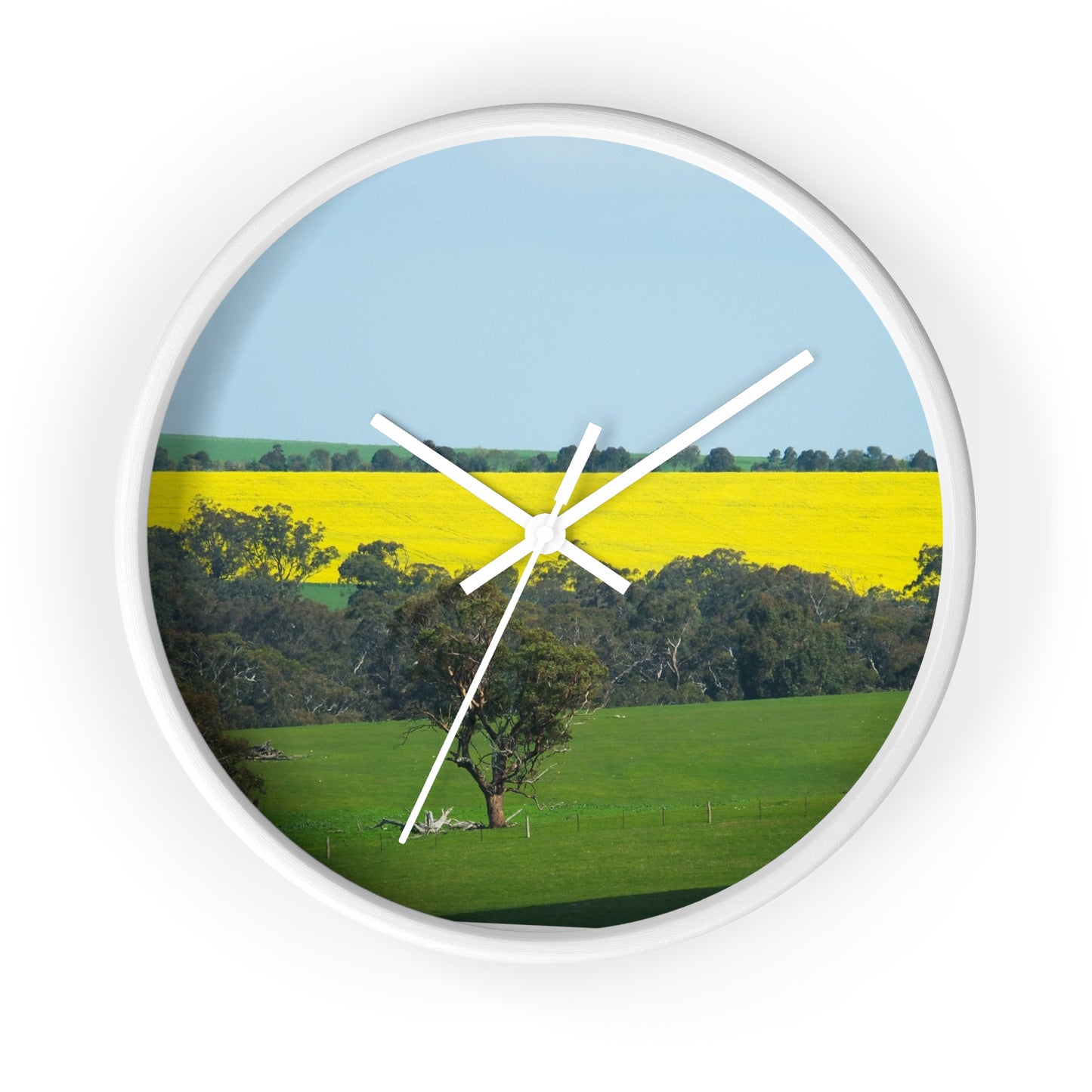 Ozi Pix Wall Clock - Canola Fields