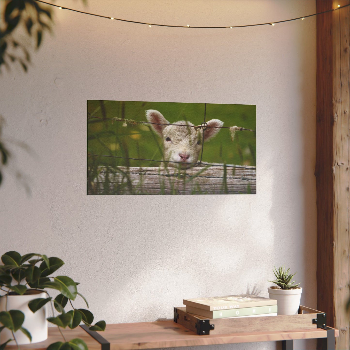 Pix By Ozi  "Spring Lamb "  Victoria Australia printed on Canvas