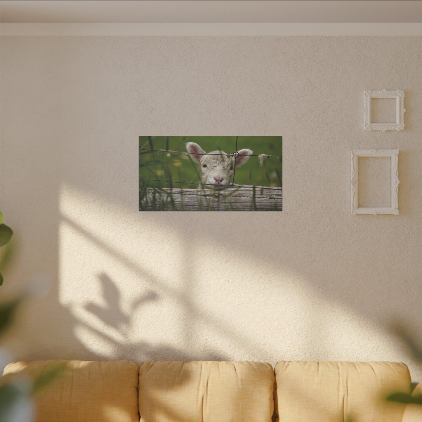 Pix By Ozi  "Spring Lamb "  Victoria Australia printed on Canvas