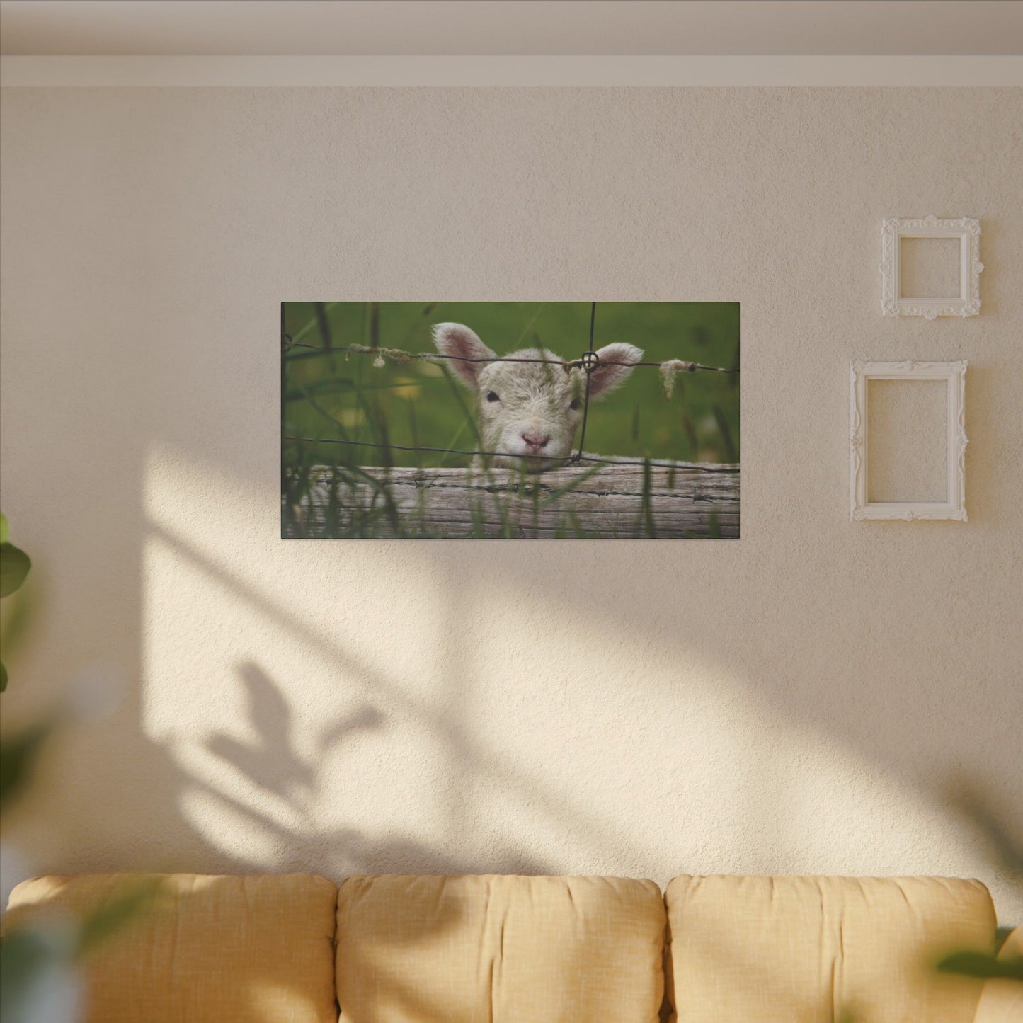 Pix By Ozi  "Spring Lamb "  Victoria Australia printed on Canvas