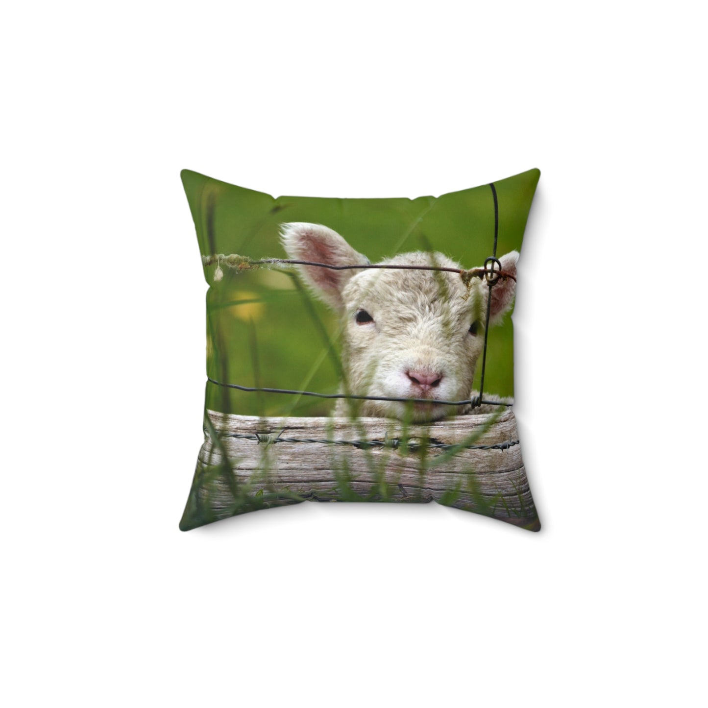 Baby Lamb Bliss Pillow