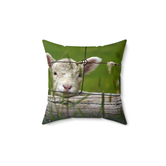 Baby Lamb Bliss Pillow