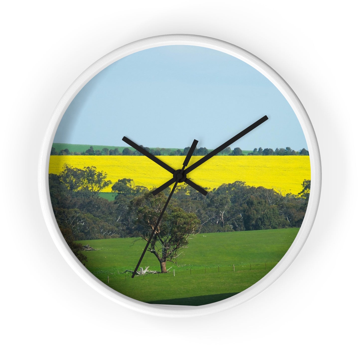 Ozi Pix Wall Clock - Canola Fields