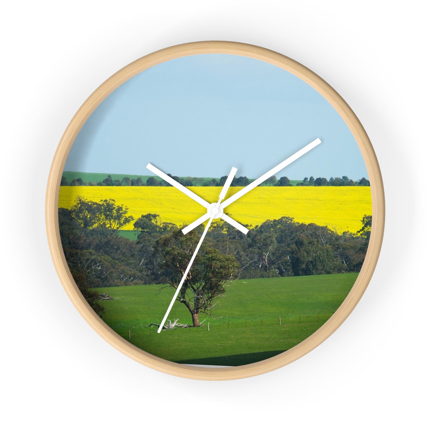 Ozi Pix Wall Clock - Canola Fields