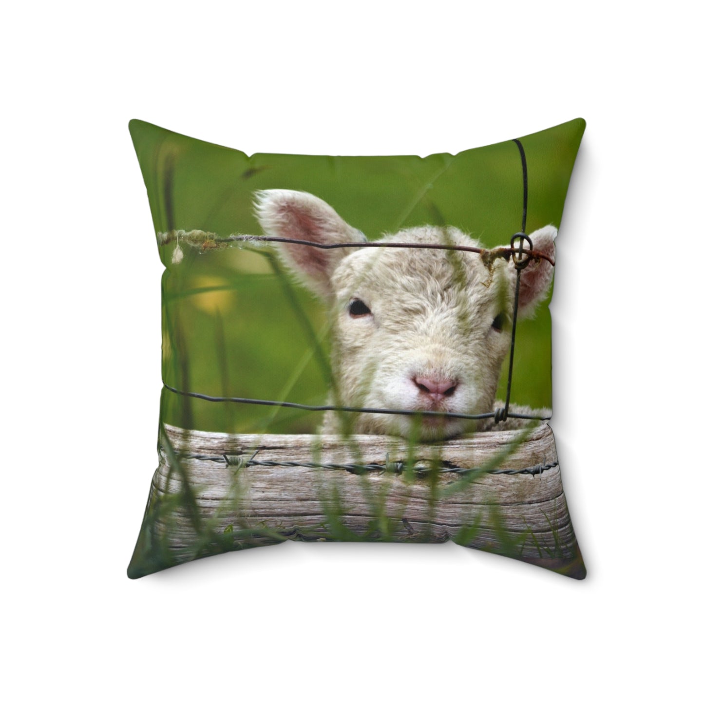 Baby Lamb Bliss Pillow