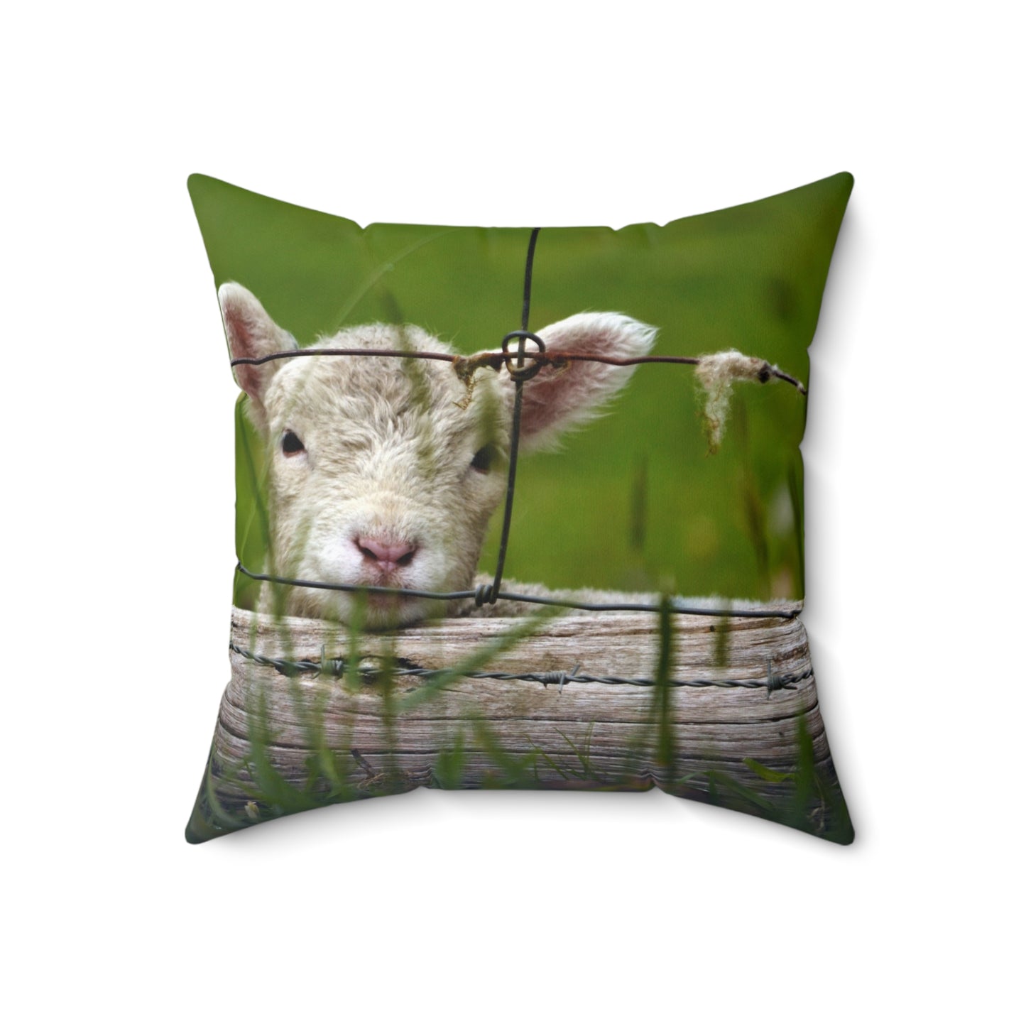 Baby Lamb Bliss Pillow