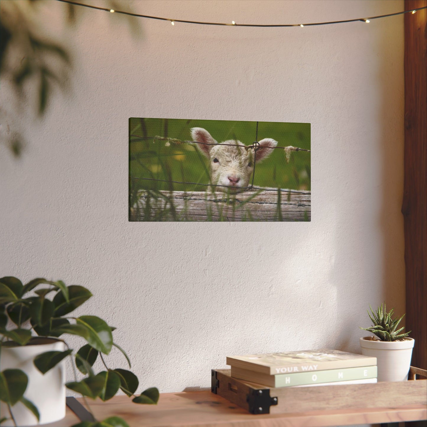 Pix By Ozi  "Spring Lamb "  Victoria Australia printed on Canvas