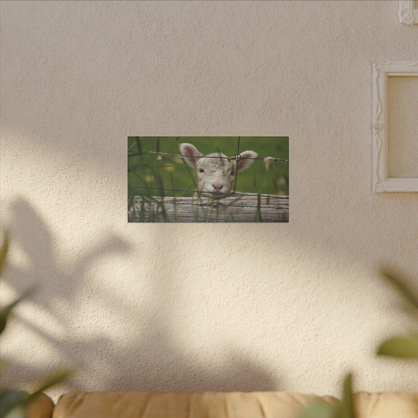 Pix By Ozi  "Spring Lamb "  Victoria Australia printed on Canvas