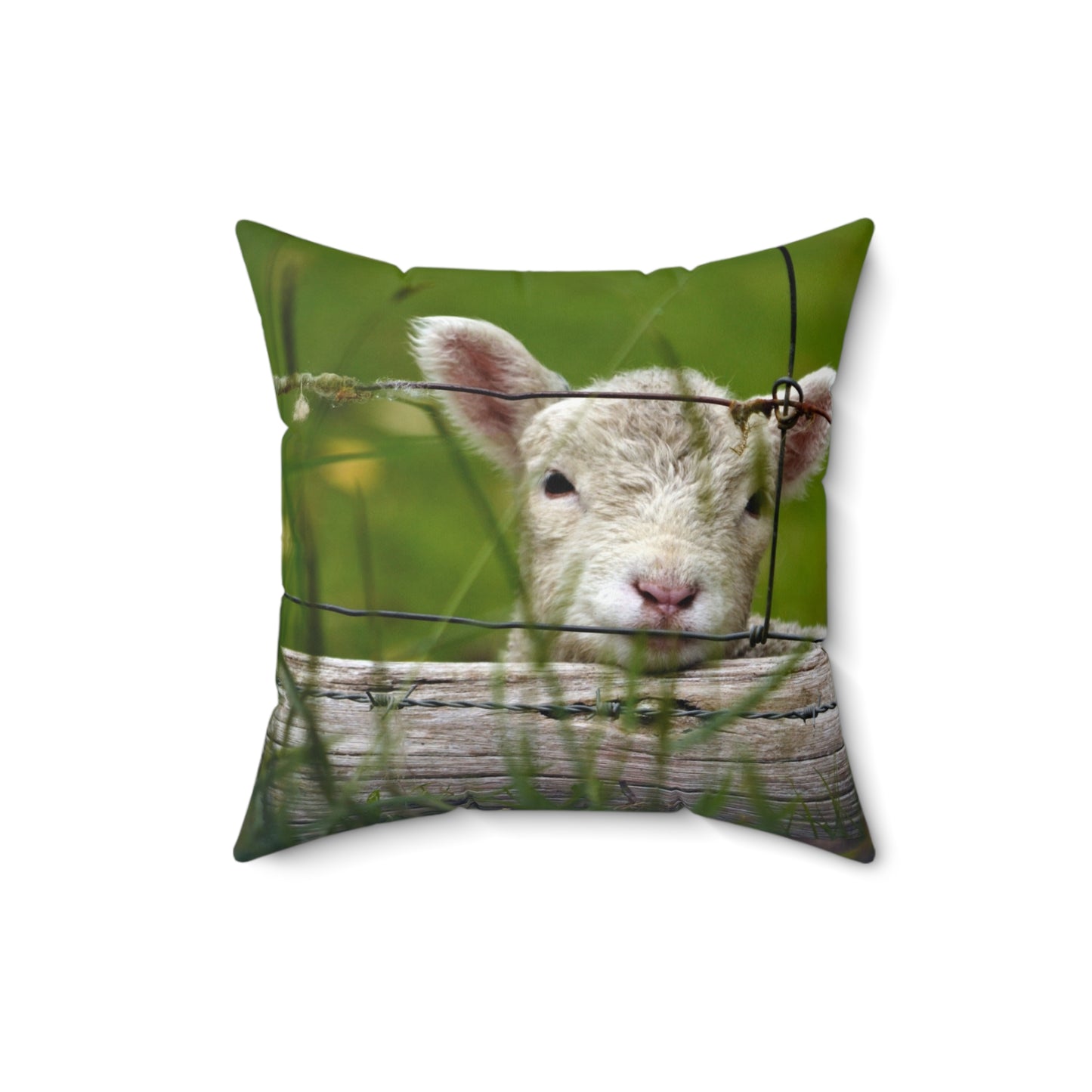 Baby Lamb Bliss Pillow