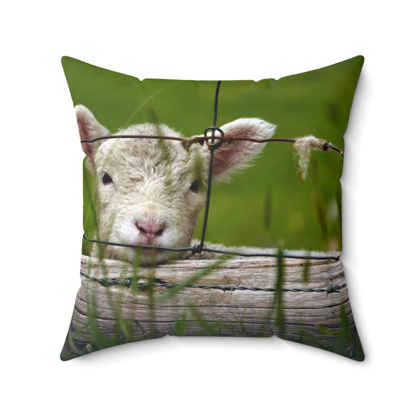 Baby Lamb Bliss Pillow