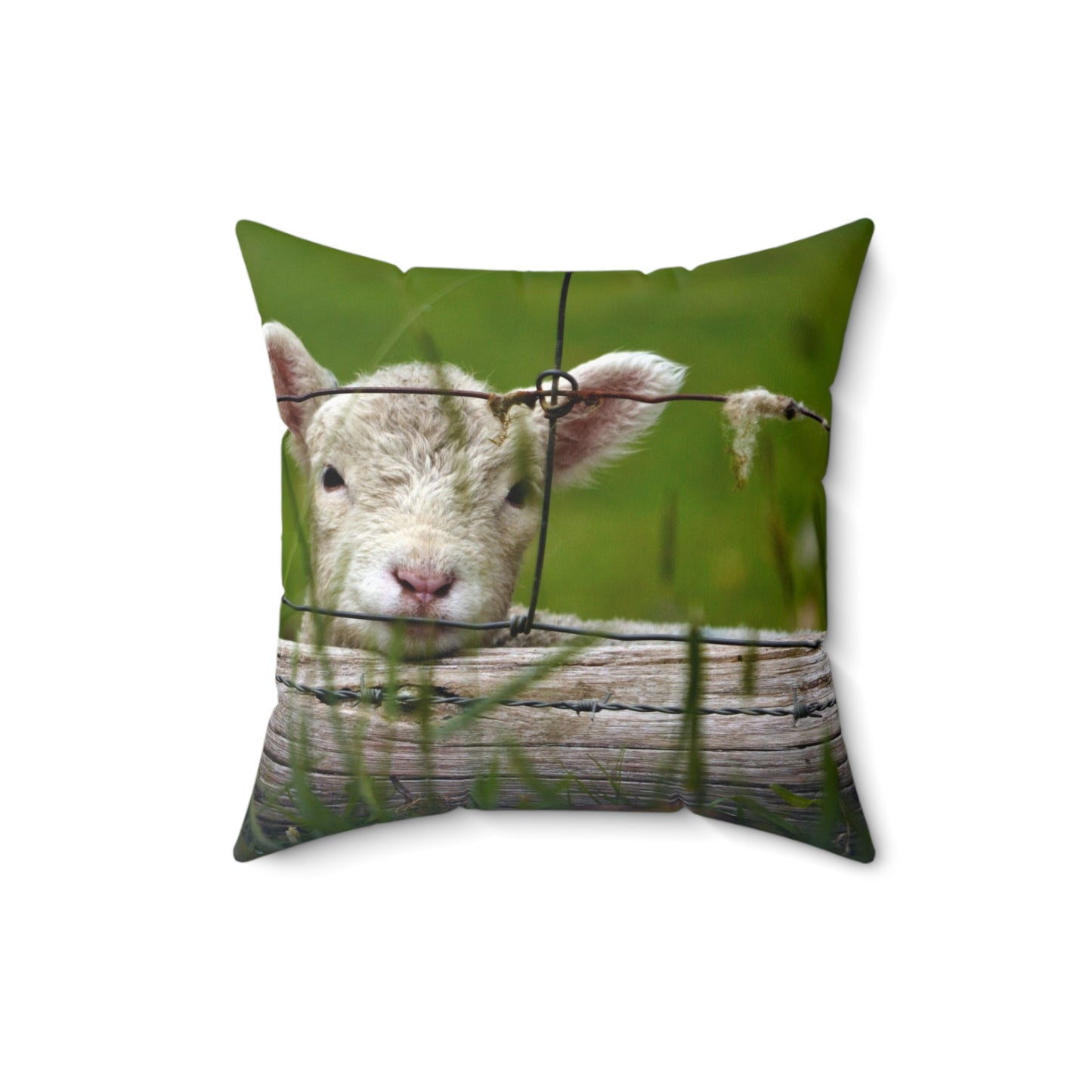 Baby Lamb Bliss Pillow